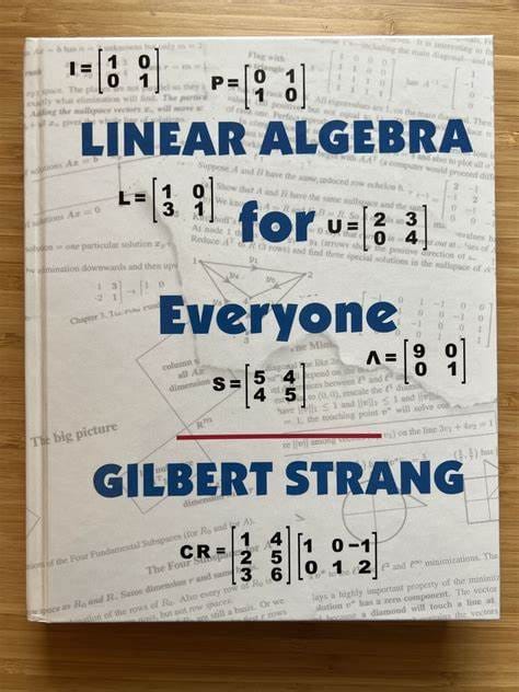 Documenting My Recent Work in Revisiting Linear Algebra